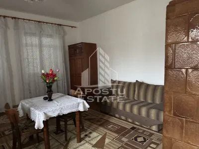 Casa unifamiliala in Remetea Mare  cu teren de 3383 mp. - foto 2