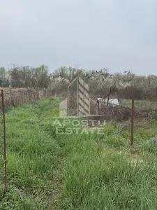 Casa unifamiliala in Remetea Mare  cu teren de 3383 mp. - foto 12