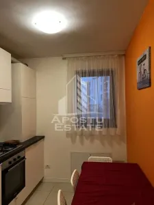 Apartament 1 camera,Girocului,Timisoara - foto 6