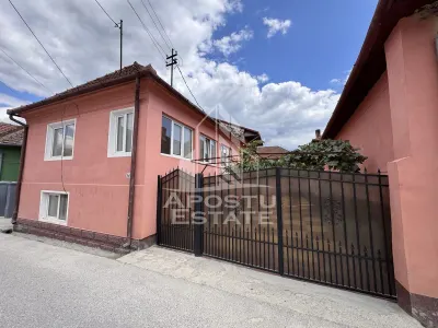 Pensiune cu 8 camere, cu iesire la rau, Salasu de Jos, Hunedoara - foto 2