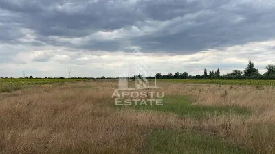 Parcela teren casa, intravilan, 1000 mp, Sanmihaiu Roman - Sanmihaiu Roman