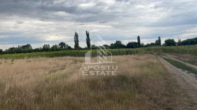 Parcela teren casa, intravilan, 1000 mp, Sanmihaiu Roman - foto 2