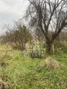 Casa individuala in Ghiroda cu 1509 mp teren - foto 6