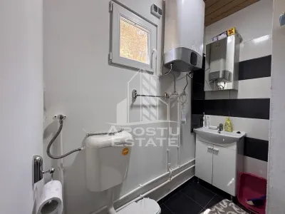 Casa din lemn, zona muntoasa, cu rau, la cheie, Ribita, Hunedoara - foto 14