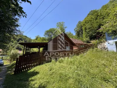 Casa din lemn, zona muntoasa, cu rau, la cheie, Ribita, Hunedoara - foto 3