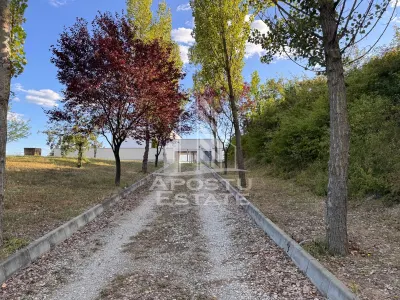 Vila deosebita cu piscina, familiala, investitie, business, Hunedoara - foto 22