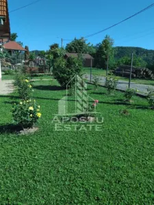 Casa cu teren de 3515mp, in Resita - foto 8