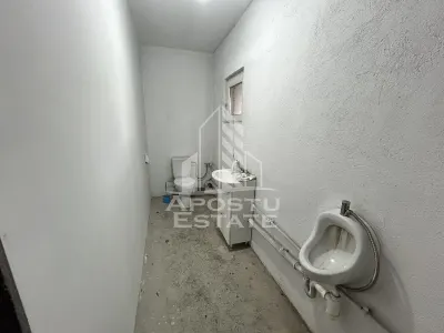 Service auto, de inchiriat, Cheveresul Mare, 20 km de Timisoara. - foto 8