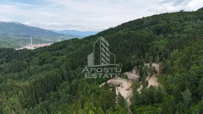 Oportunitate! Domeniu montan, cu lac propriu, oras Lupeni, Hunedoara - foto 14