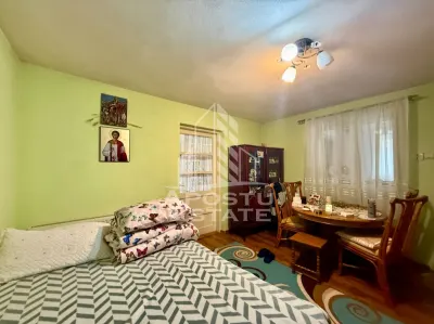 Casa individuala cu 6 camere de vanzare zona Plopi Timisoara - foto 2