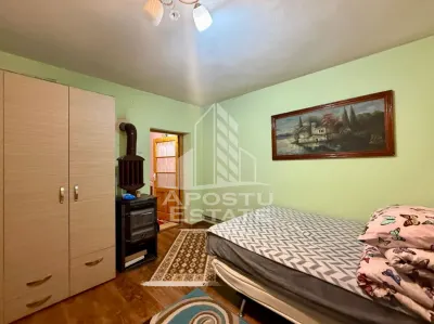 Casa individuala cu 6 camere de vanzare zona Plopi Timisoara - foto 3