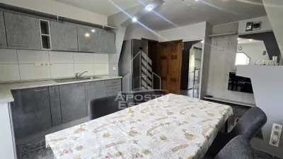 Apartament de vanzare cu 3 camere, decomandat,centrala proprie,Lipovei - foto 13