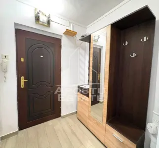 Apartament cu 1 camera de inchiriat in zona Take Ionescu - foto 6