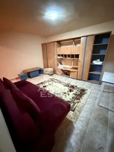 Apartament cu 1 camera de vanzare, zona Brancoveanu, Timisoara - Timisoara