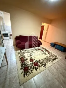 Apartament cu 1 camera de vanzare, zona Brancoveanu, Timisoara - foto 2