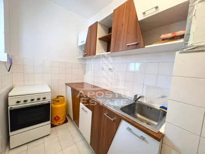 Apartament cu 1 camera de inchiriat in zona Circumvalatiunii - foto 3