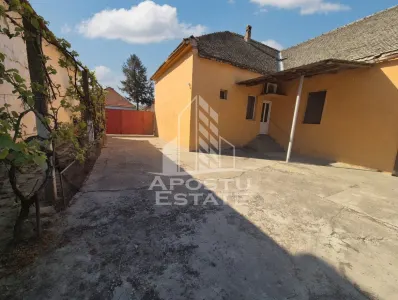 PROPRIETATE PREMIUM TEREMIA MARE - APOSTU ESTATE - foto 4