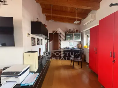 Penthouse de vanzare, Zona Torontalului, Timisoara - foto 4