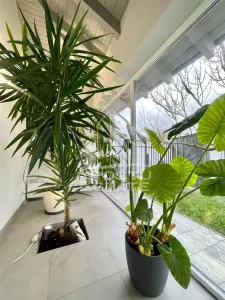 Casa moderna cu 5 camere de vanzare, zona Modern Timisoara - foto 12