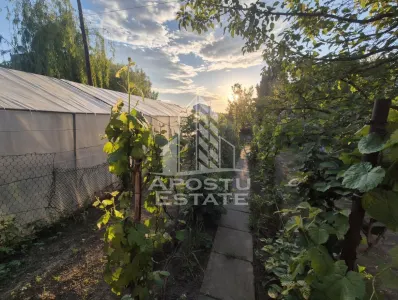 AP. 94MP 4CAM PARTER+GRADINA150MP GIARMATA-Timisoara - foto 9