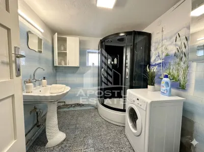Casa Individuala de vanzare situata in localitatea Utvin - foto 8