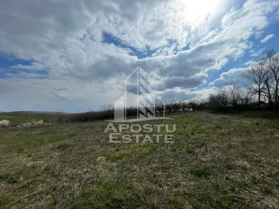 Teren intravilan pentru investitie, 2896 mp, Herneacova Timis - foto 7