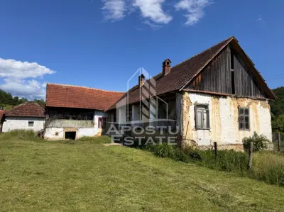 Casa batraneasca cu teren de 3.334mp, in Baia de Cris, Hunedoara - foto 5