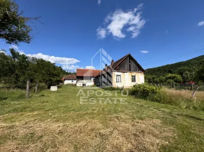 Casa batraneasca cu teren de 3.334mp, in Baia de Cris, Hunedoara - foto 7
