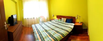 Podu ros, 3 camere 76 mp, 1001 Articole, etaj intermediar, 128000 euro - foto 5