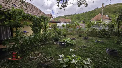 Casa la tara 800 mp teren, gaz, curent , 50 mp casa Pasareni - Acatari, gradina, livada, casa ingrijita. - foto 11