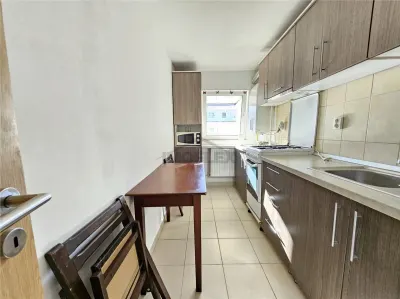 Apartament 1 camera, de inchiriat, pet friendly, zona Calea Turzii - foto 8