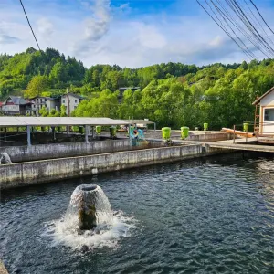 Proprietate pentru investitie - loc. Borsa, Maramures - foto 17