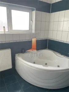 Vitan Mall, duplex in vila 440 mp, 10 camere - foto 11