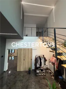 Vila exclusivista formata din 4 cladiri si balta amenajata, Baldovinesti -Braila, ideal investitie. - foto 19