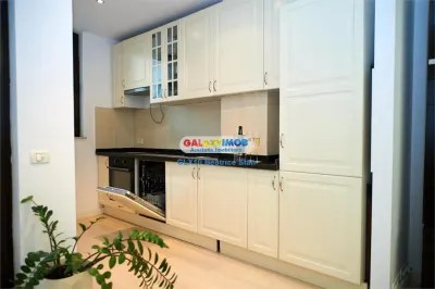 Inchiriere apartament 2 camere amplu complex rezidential N.Caramfil - foto 8
