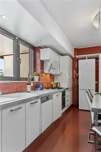 Apartament 3 camere de inchiriat Arcul de Triumf Herastrau - foto 18