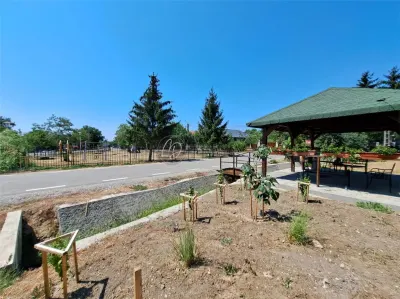 MDI casa cu dublu front stradal la Saniob - foto 15