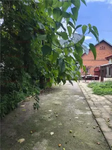 Vanzare casa Dobroesti | 1070 teren deschidere 17 ml la Lac | casa + anexe 325mp construiti | - foto 13