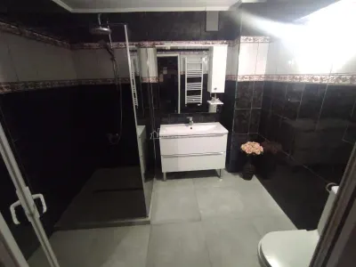 Vila Dristor, cu piscina, garaj, posibilitate spatiu comercial - foto 15
