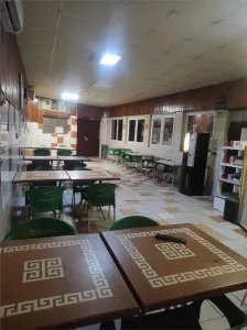 Vila Dristor, cu piscina, garaj, posibilitate spatiu comercial - foto 22