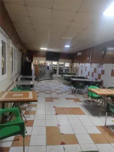 Vila Dristor, cu piscina, garaj, posibilitate spatiu comercial - foto 23