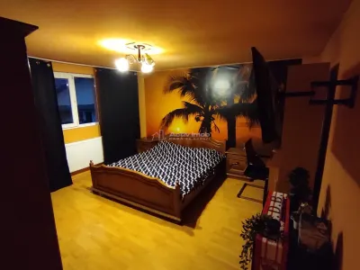 Vila Dristor, cu piscina, garaj, posibilitate spatiu comercial - foto 9