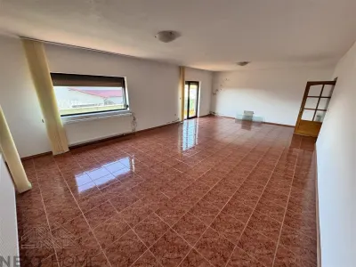 Casa P+M de Vanzare | 450 mp Utili | Teren 13.486 mp | Livada cu 359 Nuci | Vulturu, Vrancea - foto 13