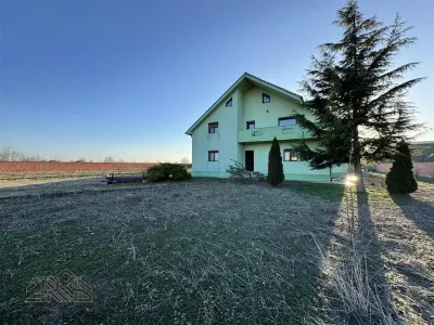 Casa P+M de Vanzare | 450 mp Utili | Teren 13.486 mp | Livada cu 359 Nuci | Vulturu, Vrancea - foto 3