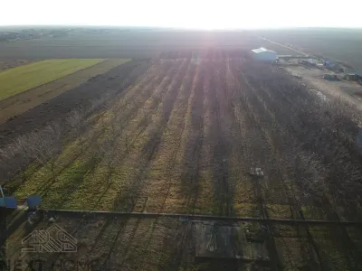 Casa P+M de Vanzare | 450 mp Utili | Teren 13.486 mp | Livada cu 359 Nuci | Vulturu, Vrancea - foto 5