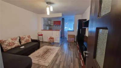 Apartament cu 1 camera, 30 mp, parter - Podul de Piatra - foto 2