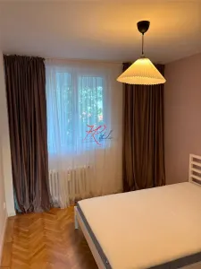 Vanzare apartament 3 camere renovate Parcul Circului - foto 2