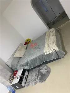 Vanzare apartament 2 camere in vila Gara de Nord - foto 5