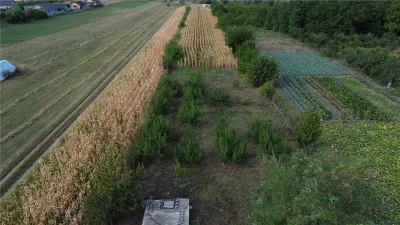 Teren 4.957 mp de vanzare in Golesti, strada Aurel Vlaicu - asfalt, utilitati si fundatie casa - foto 10