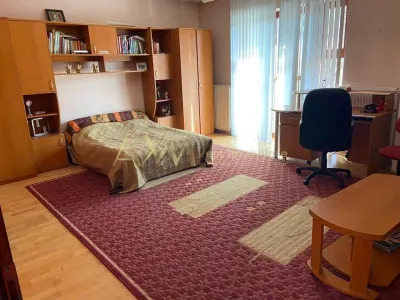 Vanzare casa individuala 6 camere cu piscina si ponton propriu la raul Bega - foto 7